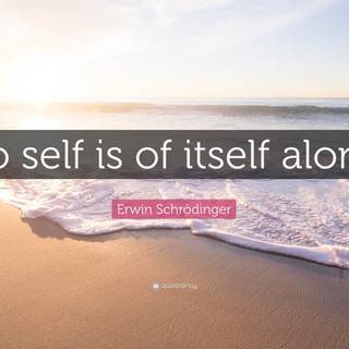 Erwin Schrödinger wallpaper