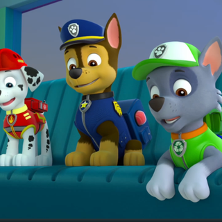 Rocky Paw Patrol wallpaper
