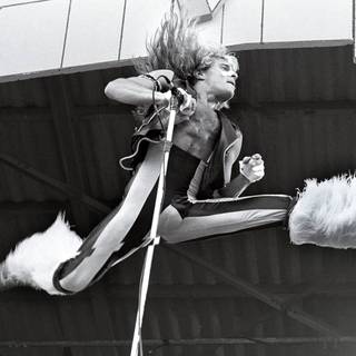 David Lee Roth wallpaper