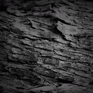 Only black wallpaper