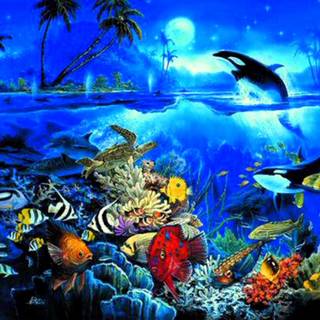 Underwater world wallpaper