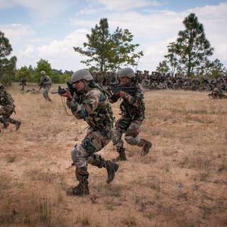 Border Security Force wallpaper