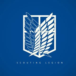 Scout Regiment wallpaper