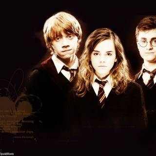 Harry Potter Golden Trio wallpaper