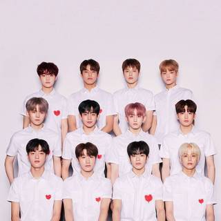YG Entertainment wallpaper