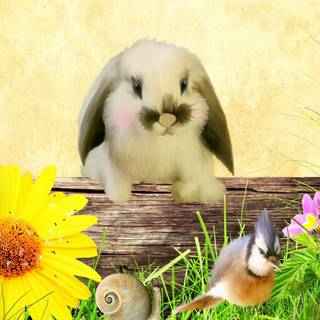 Bunny spring wallpaper