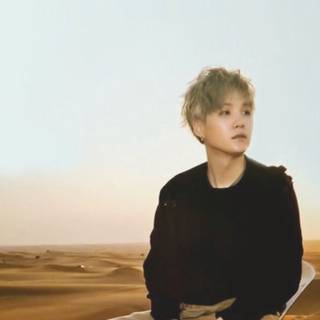 BTS Dubai Summer Package wallpaper