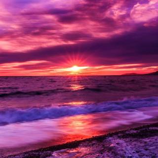 Sunset mobile wallpaper