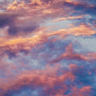 Sunset mobile wallpaper