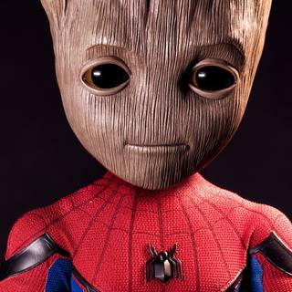 Baby groom wallpaper