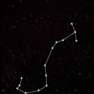 Scorpio phone wallpaper