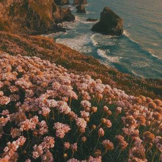 Landscape vintage aesthetic wallpaper
