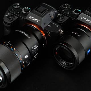 Sony Alpha wallpaper