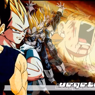 Prince Vegeta wallpaper