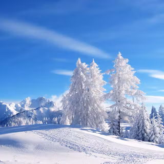 Winter scapes wallpaper