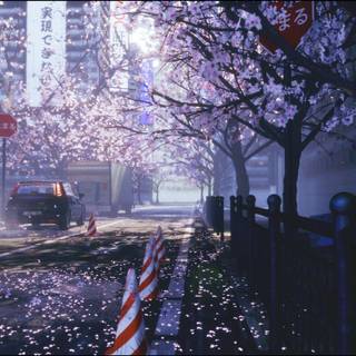 Anime city spring wallpaper