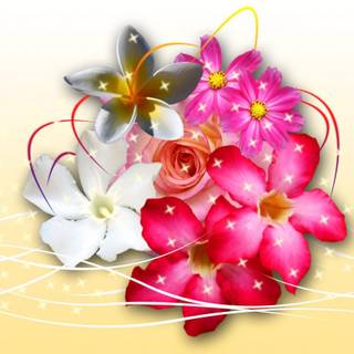 Magic spring wallpaper