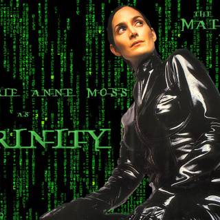 Trinity Matrix wallpaper