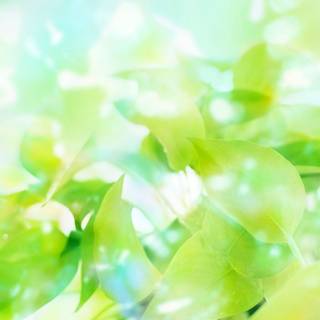 Green paint wallpaper