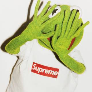 Kermit The Frog Supreme wallpaper