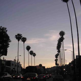 Sunset Boulevard wallpaper