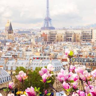 France spring wallpaper