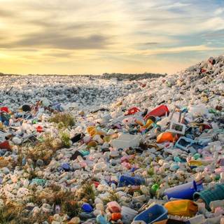 Soil pollution wallpaper