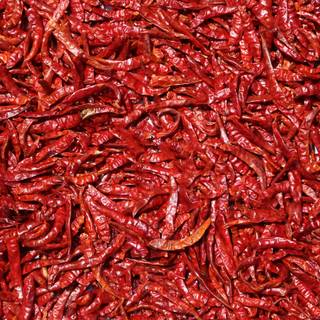 Red chilli wallpaper