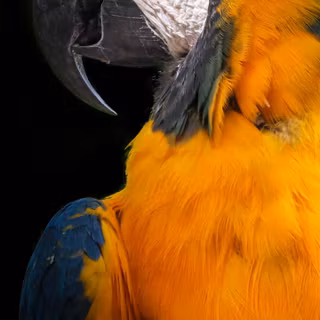 Xiaomi Mi A2 wallpaper