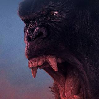 Angry gorilla wallpaper