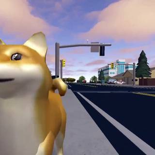 Meow Playground wallpaper