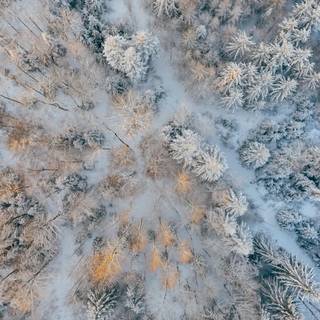 Winter aerial wallpaper