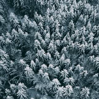 Winter aerial wallpaper