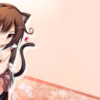 Anime cat girl Kawaii wallpaper
