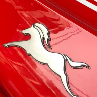 Apache logo wallpaper