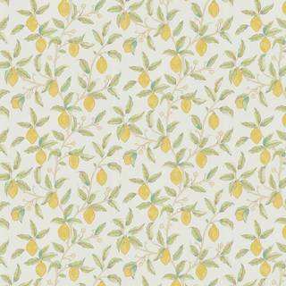 Lemon tree wallpaper