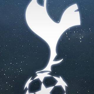 Tottenham iPhone 12 wallpaper