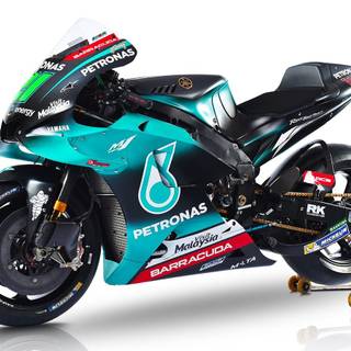 Franco Morbidelli wallpaper