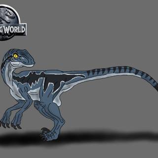 Blue The Velociraptor wallpaper
