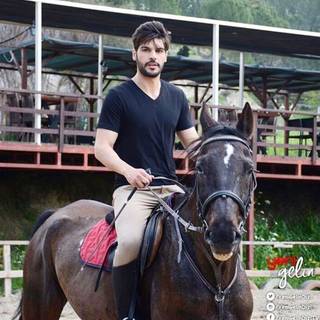 Tolga Mendi wallpaper