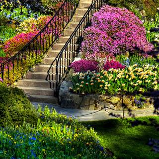 Spring 2560x1600 wallpaper