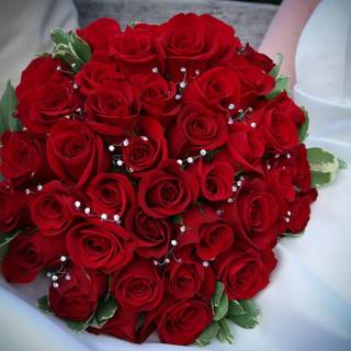 Beautiful DP wallpaper