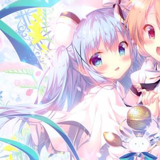 Kafuu Chino wallpaper