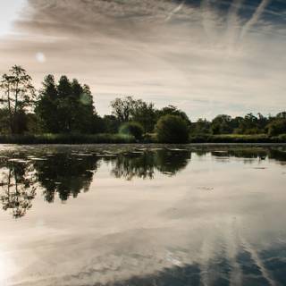 Nightly nature reflected wallpaper