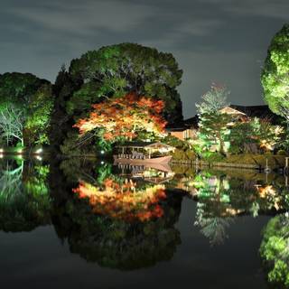 Nightly nature reflected wallpaper