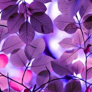 iPhone 11 purple wallpaper