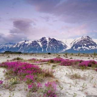 Spring mountian wallpaper