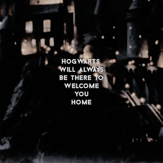 Funny Harry Potter wallpaper