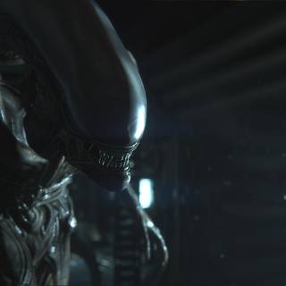 Xenomorph Fortnite wallpaper