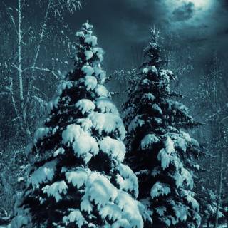 Android winter wallpaper
